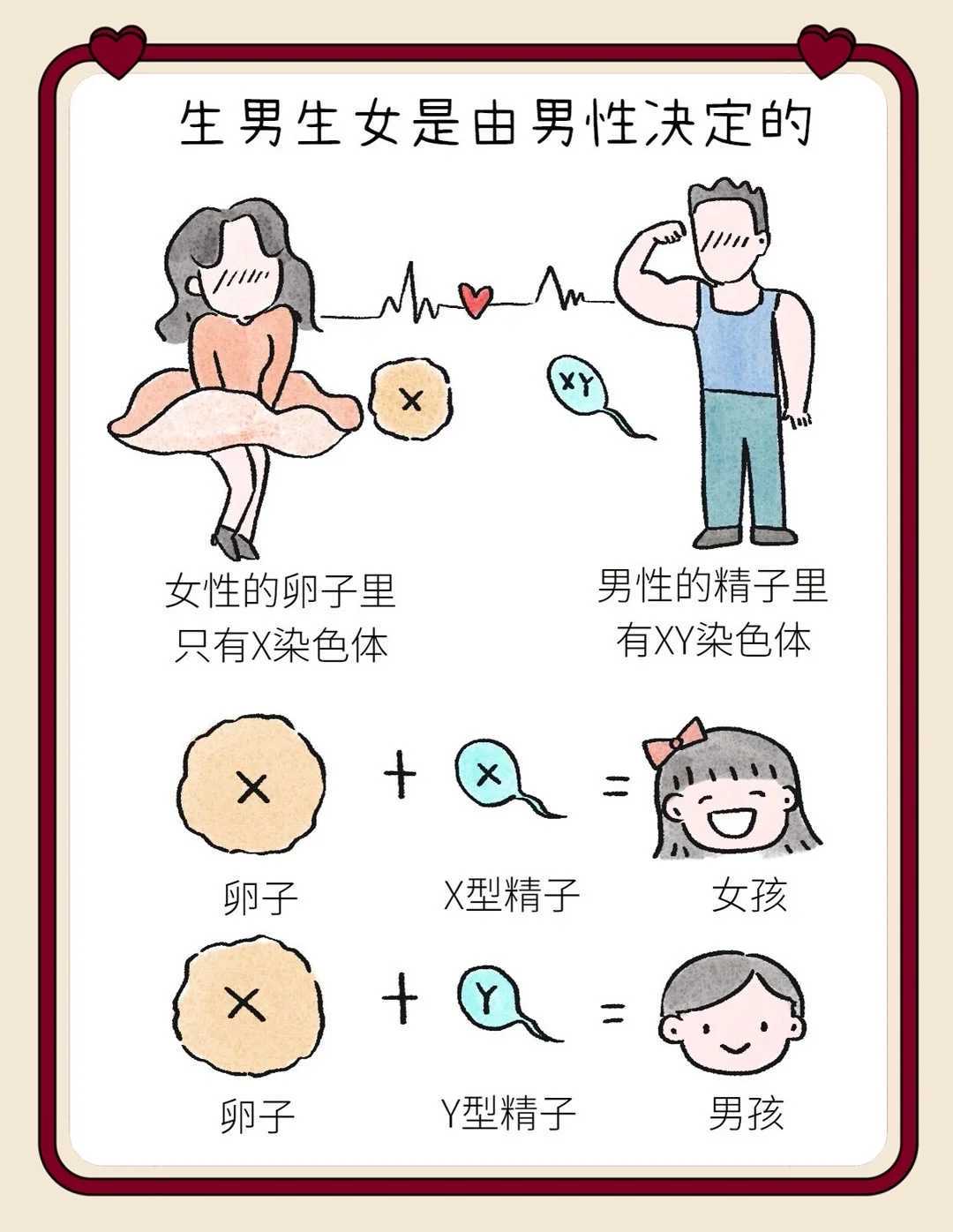 合肥市代孕医院就诊流程一览！包含哪几个项目！